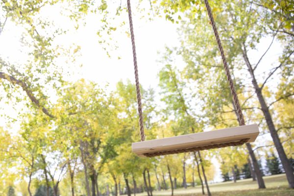 Tree Swing Installation in Milford