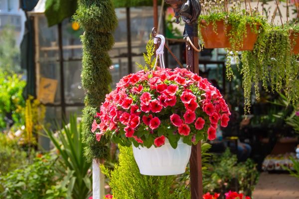 Hanging Planter Installation in Milford