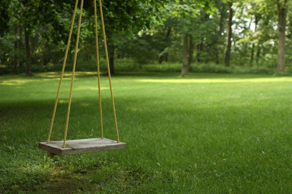 Rope Swing Installation in Milford
