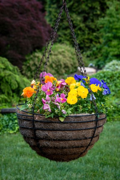 Hanging Basket Installation in Milford