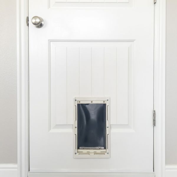 Pet Door Repair in Milford